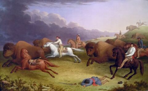 Peinture représentant une scène de chasse au bison par des Métis de l'Ouest